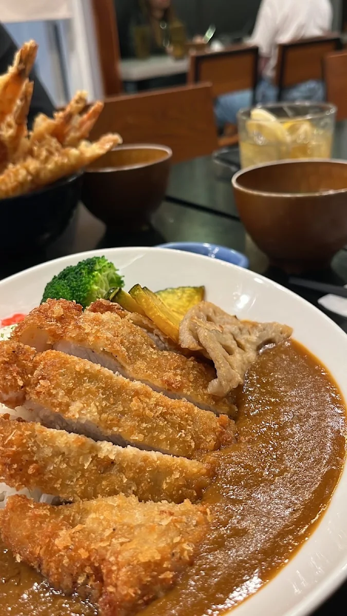pork katsu curry 豪快一枚のせ将軍カツカレー